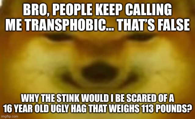 Last one for today. Disapprove it if it violates rules, idc | BRO, PEOPLE KEEP CALLING ME TRANSPHOBIC… THAT’S FALSE; WHY THE STINK WOULD I BE SCARED OF A 16 YEAR OLD UGLY HAG THAT WEIGHS 113 POUNDS? | image tagged in si | made w/ Imgflip meme maker