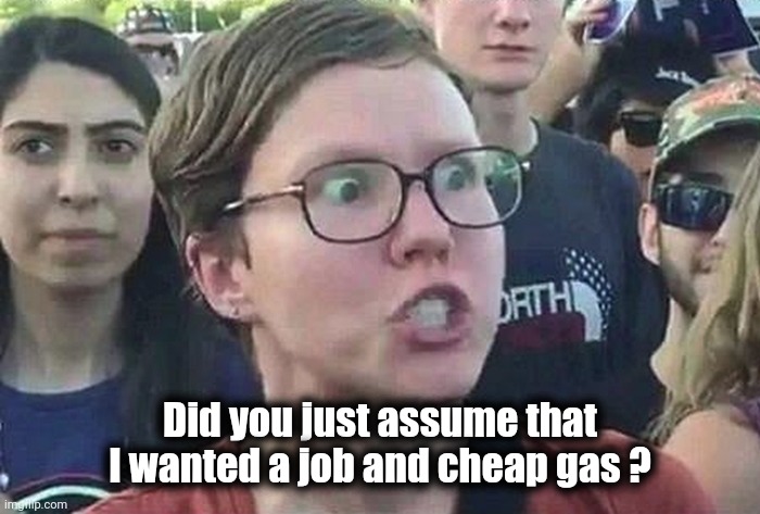 Triggered Liberal | Did you just assume that I wanted a job and cheap gas ? | image tagged in triggered liberal | made w/ Imgflip meme maker