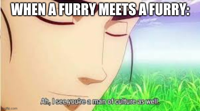 Ah,I see you are a man of culture as well | WHEN A FURRY MEETS A FURRY: | image tagged in ah i see you are a man of culture as well | made w/ Imgflip meme maker