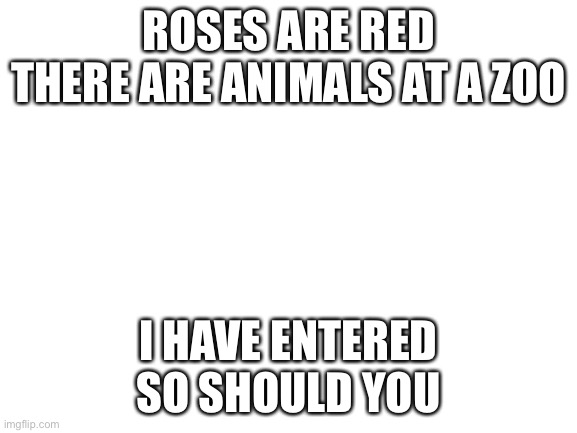Blank White Template | ROSES ARE RED
THERE ARE ANIMALS AT A ZOO; I HAVE ENTERED
SO SHOULD YOU | image tagged in blank white template | made w/ Imgflip meme maker