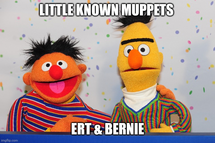 Lkm-ert& Bernie | LITTLE KNOWN MUPPETS; ERT & BERNIE | image tagged in muppets,not gay just odd | made w/ Imgflip meme maker