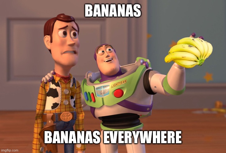 X, X Everywhere |  BANANAS; BANANAS EVERYWHERE | image tagged in memes,x x everywhere,funny | made w/ Imgflip meme maker