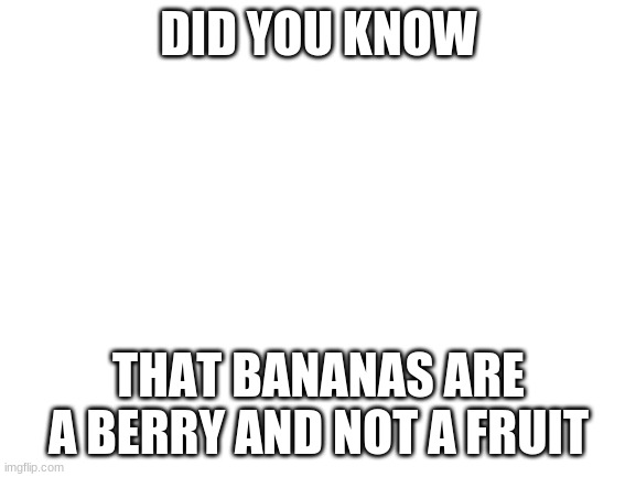 Did you know? |  DID YOU KNOW; THAT BANANAS ARE A BERRY AND NOT A FRUIT | image tagged in blank white template,banana fact | made w/ Imgflip meme maker
