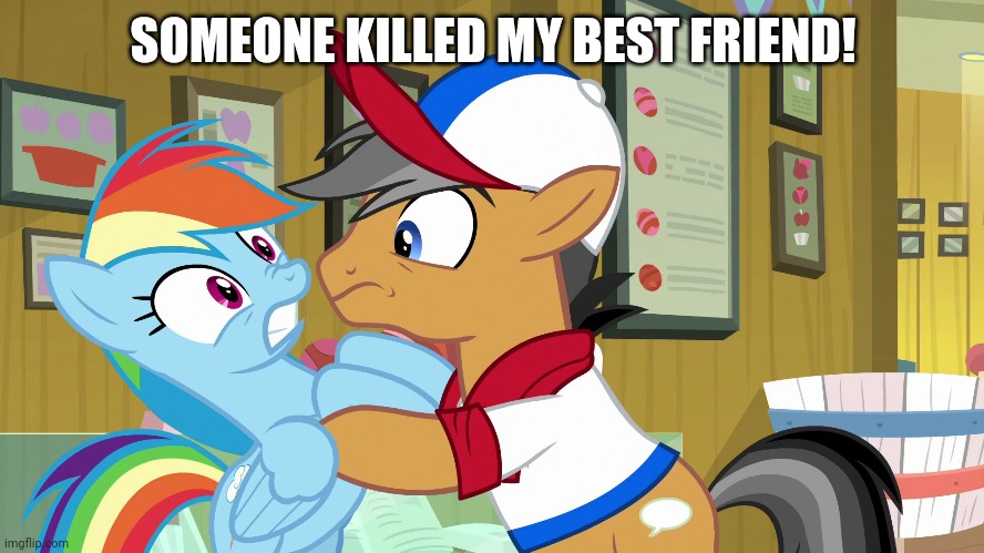 SOMEONE KILLED MY BEST FRIEND! | image tagged in quibble pants,rainbow dash,my little pony friendship is magic | made w/ Imgflip meme maker