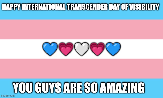 Trans Flag | HAPPY INTERNATIONAL TRANSGENDER DAY OF VISIBILITY; 💙💗🤍💗💙; YOU GUYS ARE SO AMAZING | image tagged in trans flag | made w/ Imgflip meme maker