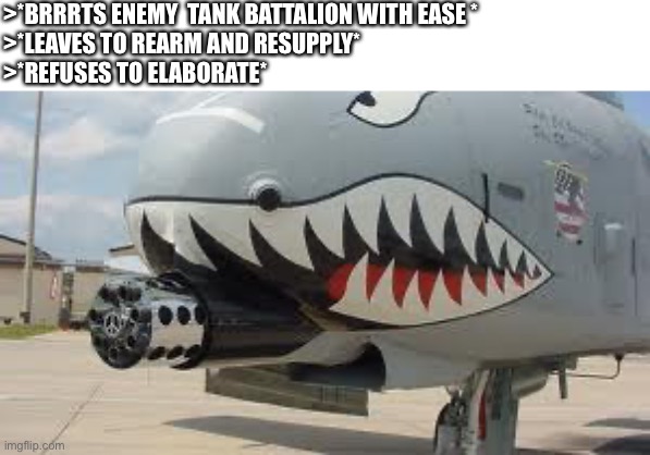 A-10 Warthog | >*BRRRTS ENEMY  TANK BATTALION WITH EASE *                   
>*LEAVES TO REARM AND RESUPPLY*                                                   
>*REFUSES TO ELABORATE* | image tagged in a-10 warthog | made w/ Imgflip meme maker