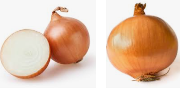 High Quality In loving memory of Onions Blank Meme Template