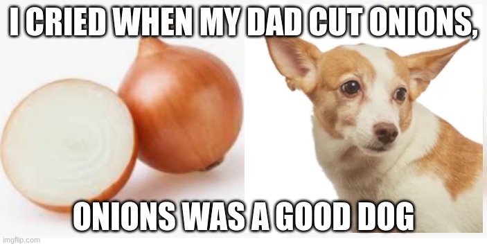 In loving memory of Onions | I CRIED WHEN MY DAD CUT ONIONS, ONIONS WAS A GOOD DOG | image tagged in in loving memory of onions | made w/ Imgflip meme maker