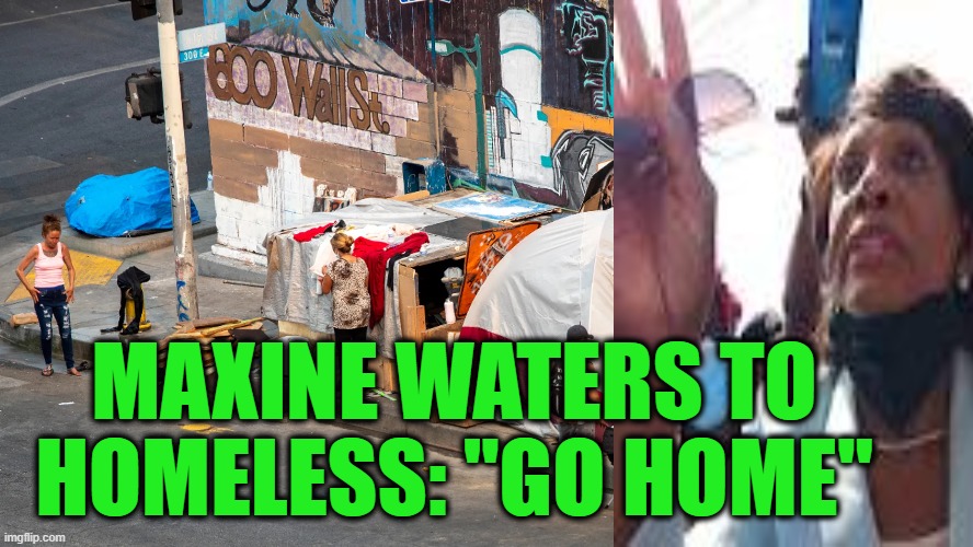 Sometimes the Solution to a Crisis is Staring You Right in the Face | MAXINE WATERS TO HOMELESS: "GO HOME" | image tagged in maxine waters,homeless | made w/ Imgflip meme maker