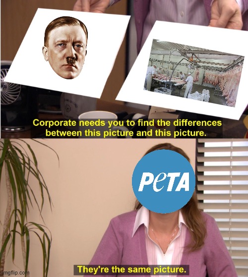 They're The Same Picture | image tagged in memes,they're the same picture,peta | made w/ Imgflip meme maker