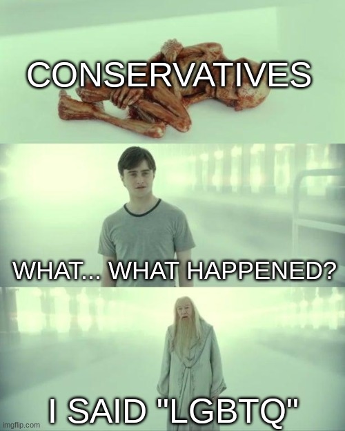 Truth | CONSERVATIVES; WHAT... WHAT HAPPENED? I SAID "LGBTQ" | image tagged in dead baby voldemort / what happened to him | made w/ Imgflip meme maker