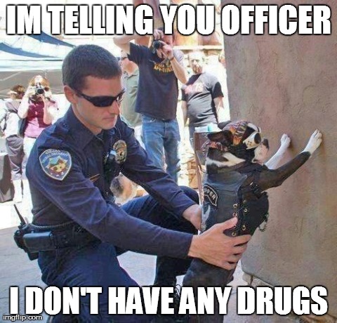 poor dog | IM TELLING YOU OFFICER I DON'T HAVE ANY DRUGS | image tagged in memes,funny,animals,cops | made w/ Imgflip meme maker