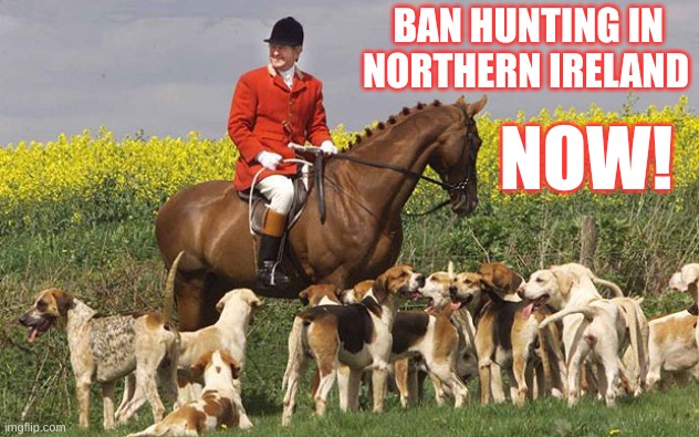 Fox Hunting | BAN HUNTING IN 
NORTHERN IRELAND; NOW! | image tagged in fox hunting | made w/ Imgflip meme maker