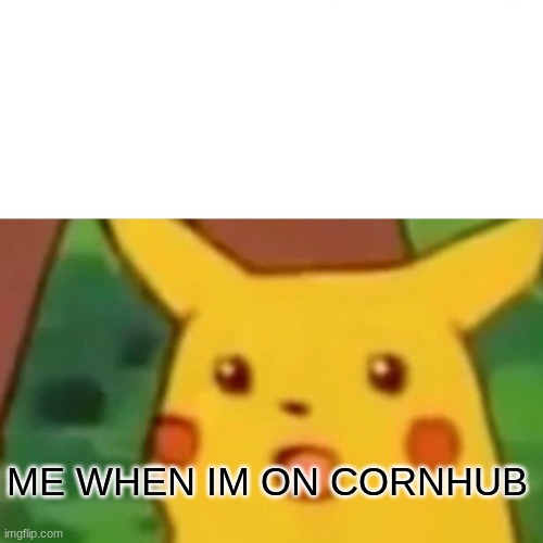 Surprised Pikachu Meme | ME WHEN IM ON CORNHUB | image tagged in memes,surprised pikachu | made w/ Imgflip meme maker