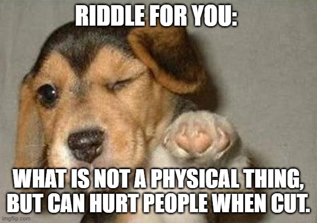 Upvotes on 15 of your recent memes to the first person who gets the right answer (with explanation) in comments |  RIDDLE FOR YOU:; WHAT IS NOT A PHYSICAL THING, BUT CAN HURT PEOPLE WHEN CUT. | image tagged in winking dog,riddles and brainteasers | made w/ Imgflip meme maker