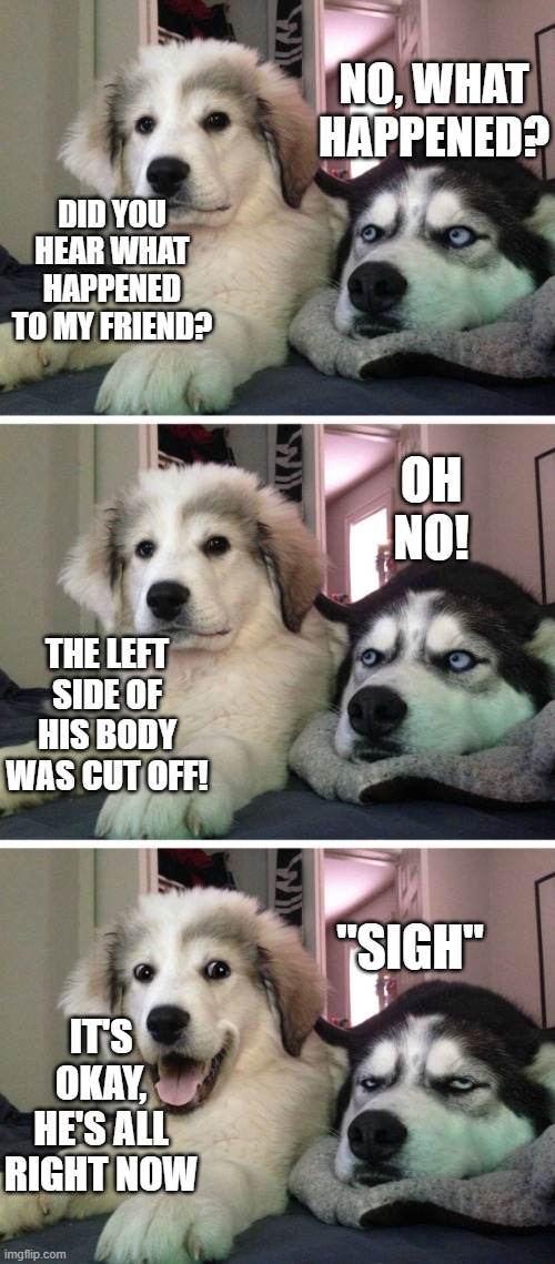 Dog bad joke | NO, WHAT HAPPENED? DID YOU HEAR WHAT HAPPENED TO MY FRIEND? OH NO! THE LEFT SIDE OF HIS BODY WAS CUT OFF! "SIGH"; IT'S OKAY, HE'S ALL RIGHT NOW | image tagged in dog bad joke | made w/ Imgflip meme maker