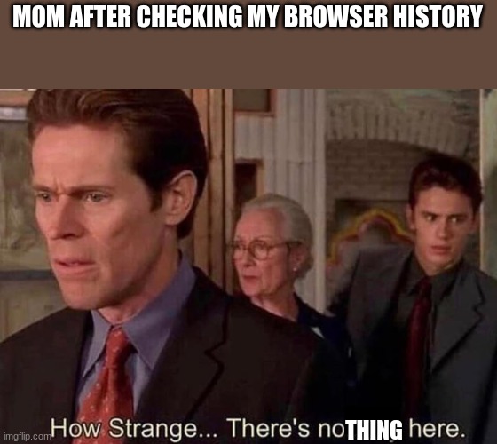 E |  MOM AFTER CHECKING MY BROWSER HISTORY; THING | image tagged in nobody here | made w/ Imgflip meme maker