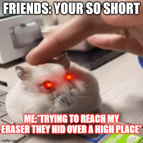 yeah it's true. | FRIENDS: YOUR SO SHORT; ME:*TRYING TO REACH MY ERASER THEY HID OVER A HIGH PLACE* | image tagged in funny memes | made w/ Imgflip meme maker