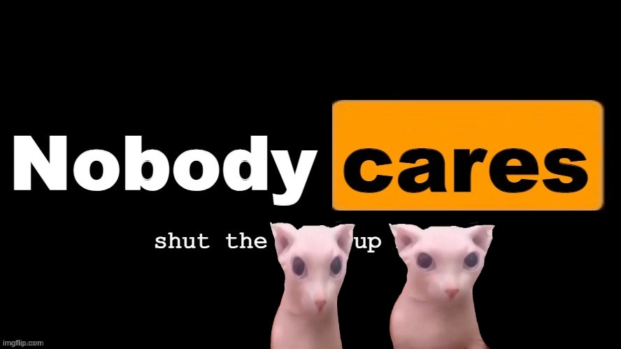 Nobody cares | image tagged in nobody cares | made w/ Imgflip meme maker