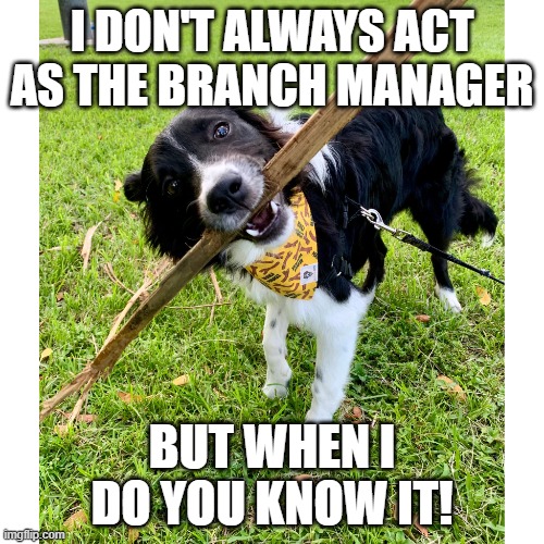 Brach Mgr | I DON'T ALWAYS ACT AS THE BRANCH MANAGER; BUT WHEN I DO YOU KNOW IT! | image tagged in bc brach manager | made w/ Imgflip meme maker