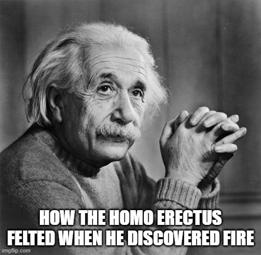Light my fire | HOW THE HOMO ERECTUS FELTED WHEN HE DISCOVERED FIRE | image tagged in einstein,history,man | made w/ Imgflip meme maker