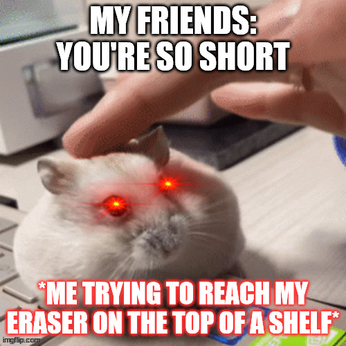 yeah it's true. | MY FRIENDS: YOU'RE SO SHORT; *ME TRYING TO REACH MY ERASER ON THE TOP OF A SHELF* | image tagged in memes | made w/ Imgflip meme maker