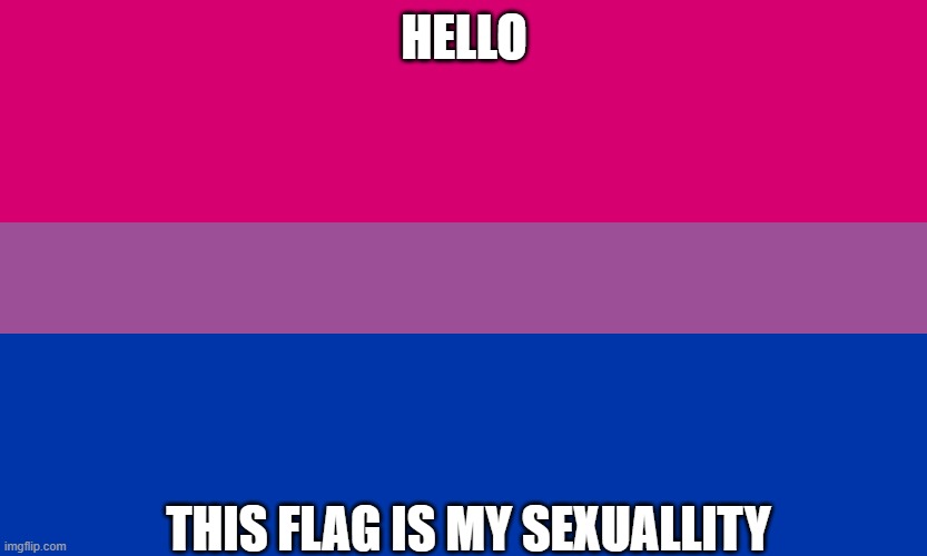  HELLO; THIS FLAG IS MY SEXUALLITY | image tagged in bisexual | made w/ Imgflip meme maker