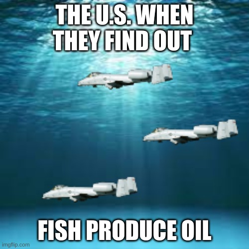 repost of one of my old memes | THE U.S. WHEN THEY FIND OUT; FISH PRODUCE OIL | image tagged in sea raid | made w/ Imgflip meme maker