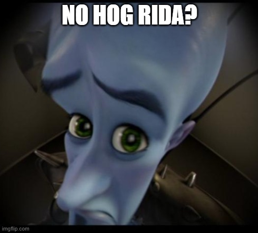 Megamind peeking | NO HOG RIDA? | image tagged in no bitches | made w/ Imgflip meme maker