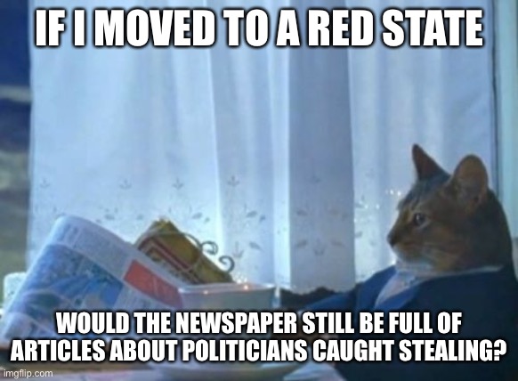 I Should Buy A Boat Cat Meme | IF I MOVED TO A RED STATE; WOULD THE NEWSPAPER STILL BE FULL OF ARTICLES ABOUT POLITICIANS CAUGHT STEALING? | image tagged in memes,i should buy a boat cat | made w/ Imgflip meme maker