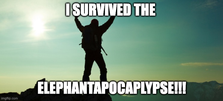 I Survived the #Zombie_Apocalypse | I SURVIVED THE; ELEPHANTAPOCAPLYPSE!!! | image tagged in i survived the zombie_apocalypse | made w/ Imgflip meme maker