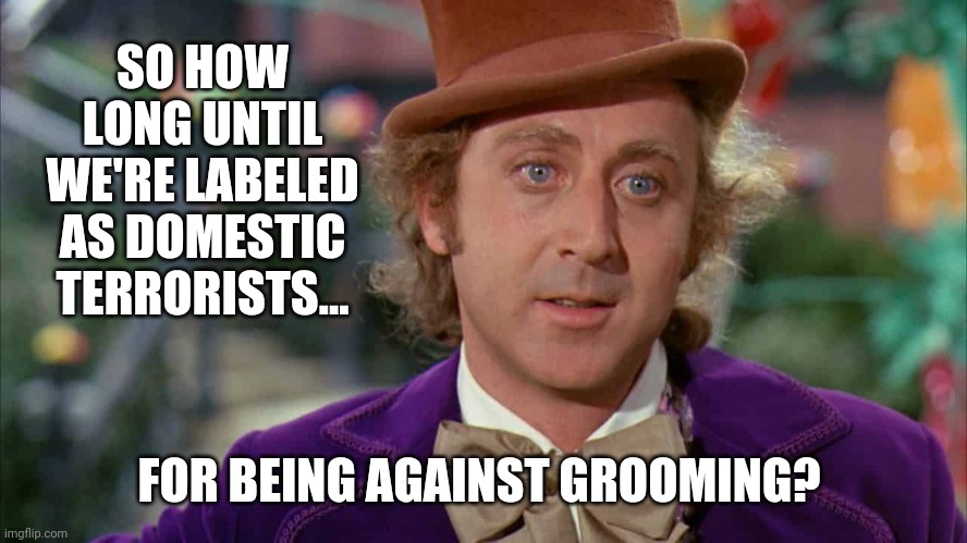 Many of us have already been labeled as domestic terrorists. | SO HOW LONG UNTIL WE'RE LABELED AS DOMESTIC TERRORISTS... FOR BEING AGAINST GROOMING? | image tagged in memes | made w/ Imgflip meme maker