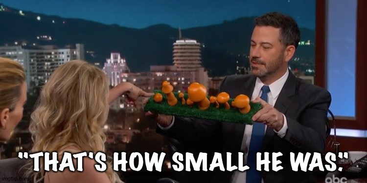 Stormy | "THAT'S HOW SMALL HE WAS." | image tagged in stormy | made w/ Imgflip meme maker