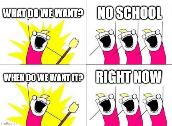 What Do We Want | WHAT DO WE WANT? NO SCHOOL; RIGHT NOW; WHEN DO WE WANT IT? | image tagged in memes,what do we want | made w/ Imgflip meme maker