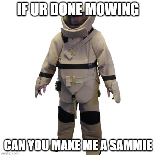 make a sammie | IF UR DONE MOWING; CAN YOU MAKE ME A SAMMIE | image tagged in adult humor | made w/ Imgflip meme maker