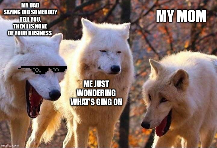 Laughing wolf |  MY DAD SAYING DID SOMEBODY TELL YOU, THEN I IS NONE OF YOUR BUSINESS; MY MOM; ME JUST WONDERING WHAT'S GING ON | image tagged in laughing wolf | made w/ Imgflip meme maker