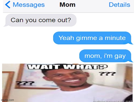 MOM IM GAYYYY | image tagged in gay | made w/ Imgflip meme maker