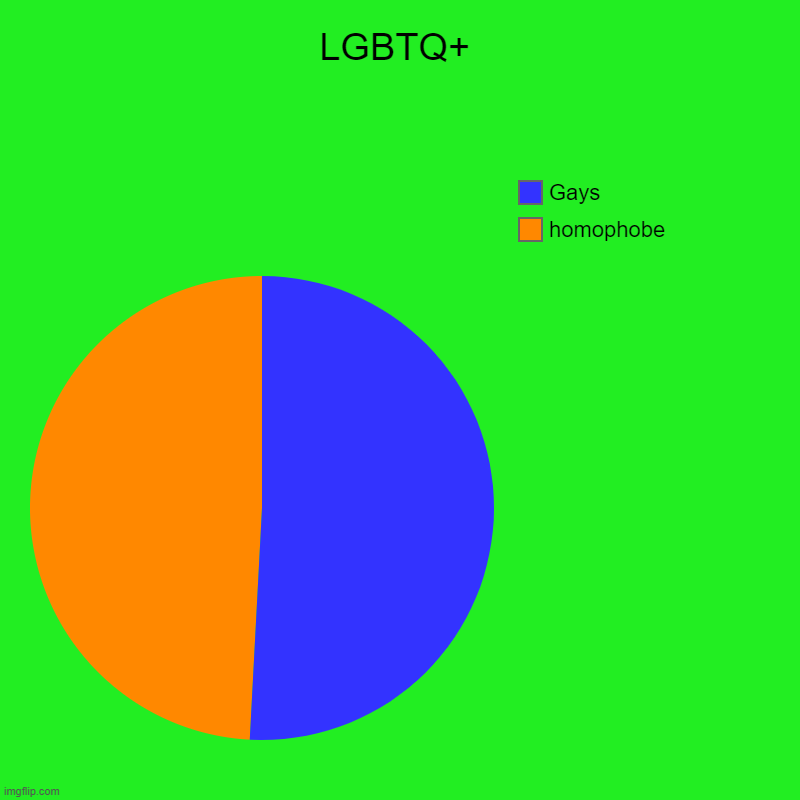 LGBTQ+ | homophobe, Gays | image tagged in charts,pie charts | made w/ Imgflip chart maker
