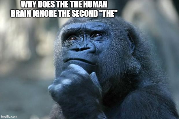 why tho | WHY DOES THE THE HUMAN BRAIN IGNORE THE SECOND "THE" | image tagged in deep thoughts,brain,thinking | made w/ Imgflip meme maker