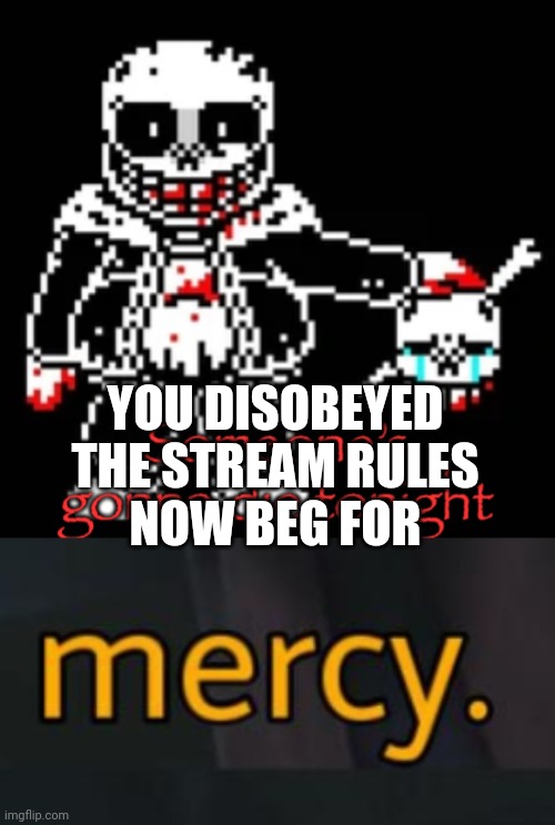 YOU DISOBEYED THE STREAM RULES
NOW BEG FOR | image tagged in someone s gonna die tonight,no mercy | made w/ Imgflip meme maker