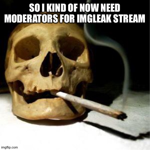 Drug addicted skull | SO I KIND OF NOW NEED MODERATORS FOR IMGLEAK STREAM | made w/ Imgflip meme maker