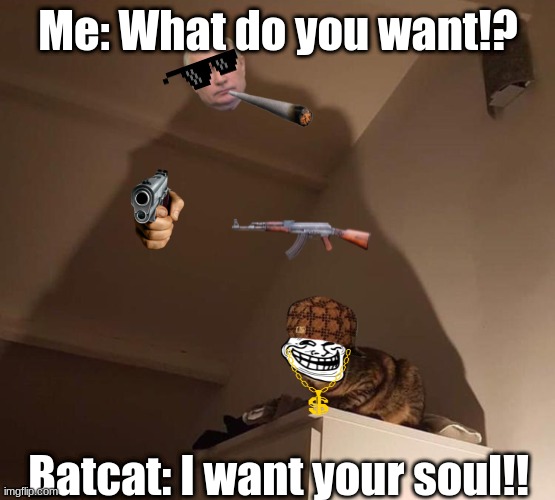 Batcat | Me: What do you want!? Batcat: I want your soul!! | image tagged in batcat | made w/ Imgflip meme maker