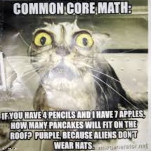common core math | image tagged in angry wet cat,math,purple,alien | made w/ Imgflip meme maker