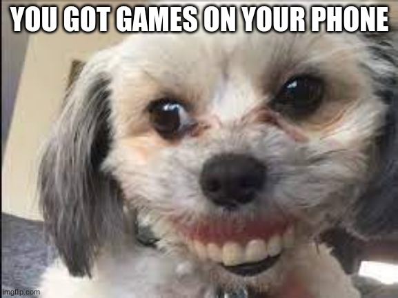 when he ask and you say yes | YOU GOT GAMES ON YOUR PHONE | image tagged in funny animals | made w/ Imgflip meme maker