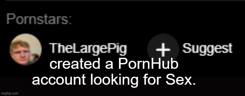 THELARGEPIG ON PHUB????? | created a PornHub account looking for Sex. | image tagged in thelargepig on phub | made w/ Imgflip meme maker