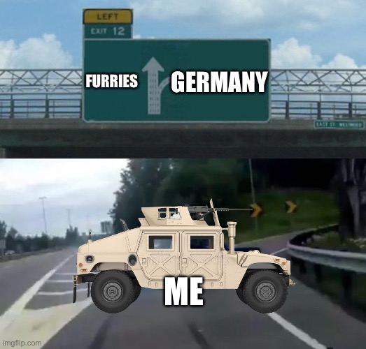 Swerving Car | FURRIES; GERMANY; ME | image tagged in swerving car | made w/ Imgflip meme maker