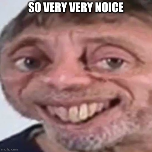 Noice | SO VERY VERY NOICE | image tagged in noice | made w/ Imgflip meme maker