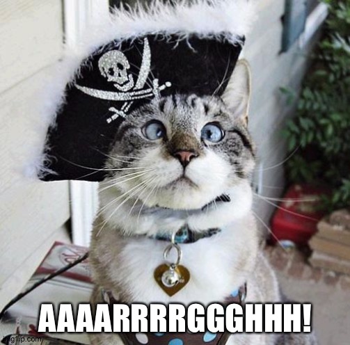 Spangles Meme | AAAARRRRGGGHHH! | image tagged in memes,spangles | made w/ Imgflip meme maker