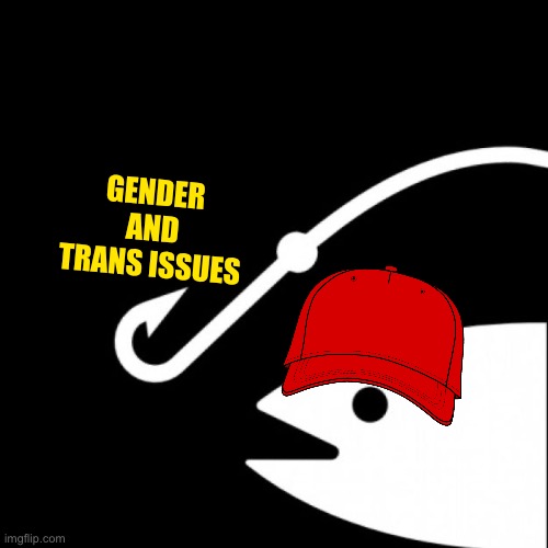 “WhY dO yOu KeEp PrEaChInG tOlErAnCe?!” | GENDER AND TRANS ISSUES | image tagged in this is bait template | made w/ Imgflip meme maker