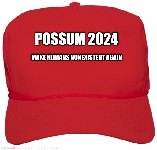 blank red MAGA hat | POSSUM 2024; MAKE HUMANS NONEXISTENT AGAIN | image tagged in blank red maga hat | made w/ Imgflip meme maker